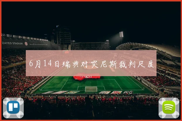 6月14日瑞典对突尼斯裁判尺度